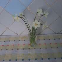 Сдаю комнату, в г.Чикаго