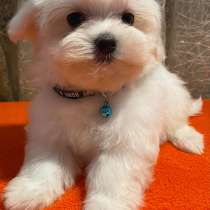 Мальтезе. Мини, в г.Rothenburg