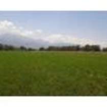 Участок 27 соток в Талгаре, в г.Талгар