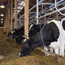 Крупное фермерское животноводческое зерноводческое хозяйства, в Волгограде