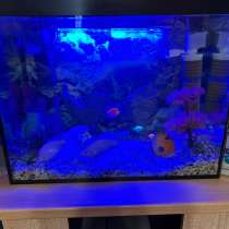 Аквариум 135 литров, в Новосибирске
