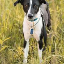 Тихон нуждается в новой истории!, в Москве