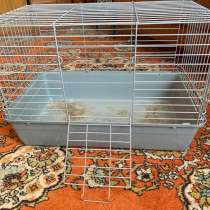 Клетка для хамяков для кроликов, в Вешках