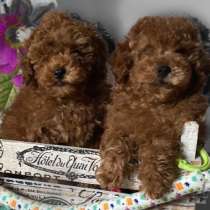 Toy puddle, в г.Оттерндорф