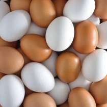 Домашнее куриное яйцо, в г.Ровеньки