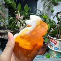 Мыло заяц, в Москве