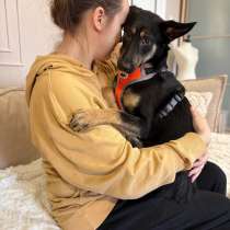 Маленькая лапочка ищет дом, в Санкт-Петербурге