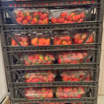Клубника свежая, в Новороссийске