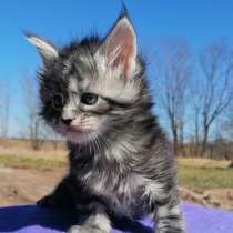 Мейн-кун, в Москве