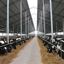 Помощь в покупке под заказ крупные действующие фермерские хо, в Волгограде