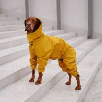 Одежда для собак всех размеров !!, в г.Минск