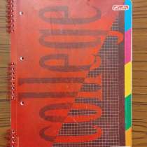 БИЗНЕС-БЛОКНОТ А4, СПИРАЛЬ, КЛЕТКА, С РАЗДЕЛИТЕЛЯМИ, в Москве
