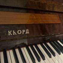 Отдаю, в Нижнем Новгороде