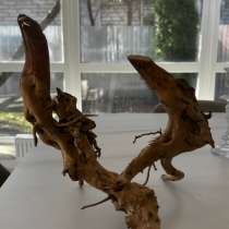 КОРЯГА, в Селятино