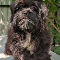 Мальтипу, в г.Вюрцбург