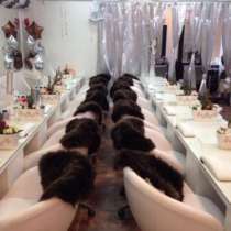 Салон красоты с собственным раскрученным интернет - сайтом, в Москве