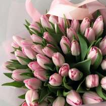 14ое февраля, в г.Шымкент