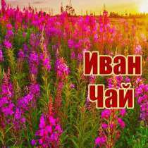 Веники травы чай, в Санкт-Петербурге