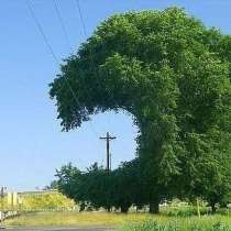 Электромонтажные и проектные работы в Московской области, в Одинцово