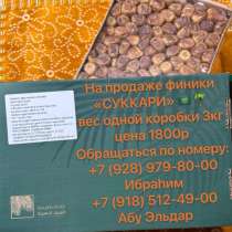 Финики сукари, в Реутове