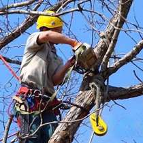 Снос ветхих строений, спил деревьев, уборка и вывоз мусора, в Уфе