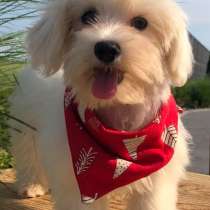 Мальтипу F - 1, в г.Бремен