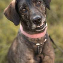 Люся ищет свою вселенную!, в Москве