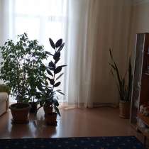 ПРОДАМ ИЛИ ПОМЕНЯЮ, в г.Кохтла-Ярве
