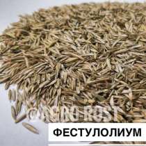 Фестулолиум, в Казани