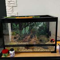 ТЕРРАРИУМ ДЛЯ РЕПТИЛИЙ, в Селятино