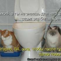 Отдам БЕСПЛАТНО ФИНСКИЙ УНИТАЗ (новый в упаковке), в Иркутске