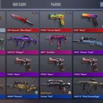 Прокачиваю инвентарь в standoff 2, в г.Франкфурт-на-Майне