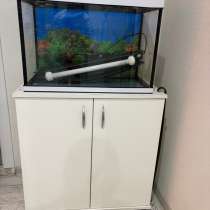 Аквариум в отличном состоянии с тумбой и аксессуарами, в Москве