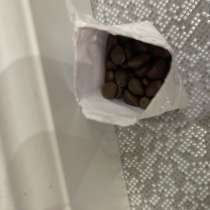 Семечки кедра Красноярские не очищенные, в Щербинке