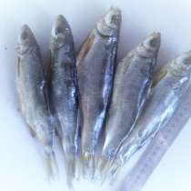 Толстолобик, Сом, Амур, Жерих, скумбрия Х/К, в Тимашевске