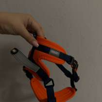 Шлейка размер L, в Барнауле