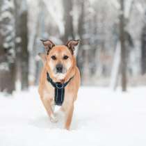 Ричи - таких выбирают сердцем, в Москве