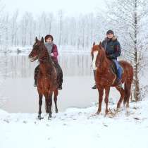 Подарок-впечатление от конного клуба, в Нижнем Новгороде