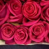Занимаемся отправками по всей России, в Краснодаре