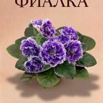 Фиалка НК-ЛилонЛила Детка, в Отрадном