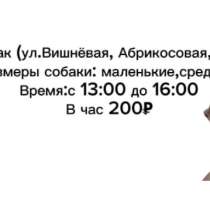 Выгул собак (ул. Макаренко, Вишнёвая Абрикосовая), в Сочи
