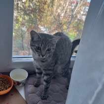 В добрые руки, в Нижнем Тагиле