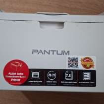 Лазерный принтер Pantum P2200  (диск CD, чек DNS, коробка), в Белореченске