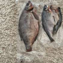 Продам  рыбку, в Дзержинске