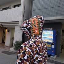 Bape zip hoodie Shark, в Москве