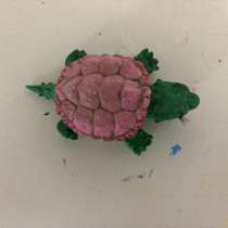 Mini turtle ?, в Тюмени