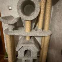 Кошачий комплекс, в Жуковском