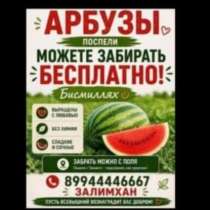 арбузы вкусные свежие, в Гудермесе