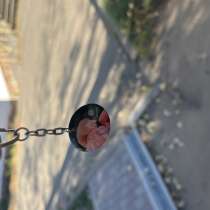 Продам брелок, в Чайковском