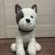 игрушка собачка, в Твери